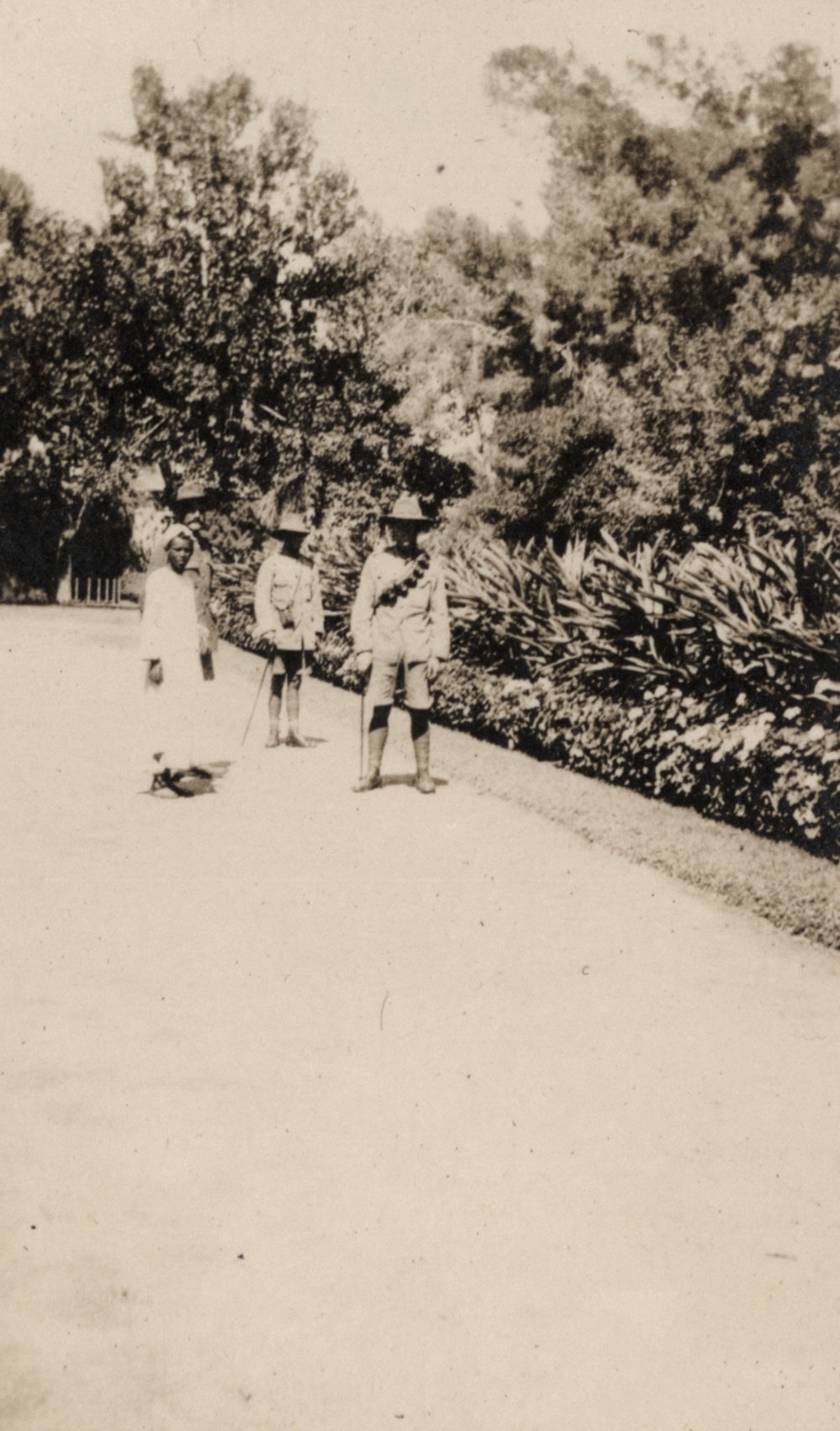 Photo from page 09 of album WWI Photograph Album - New Zealand, Egypt, Sinai &amp; Palestine.