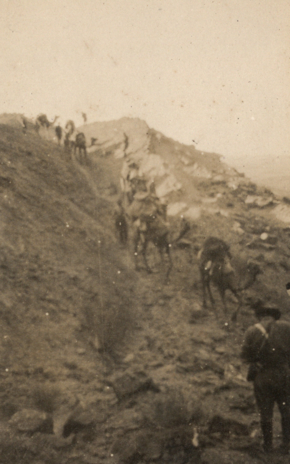 Photo from page 09 of album WWI Photograph Album - New Zealand, Egypt, Sinai &amp; Palestine.