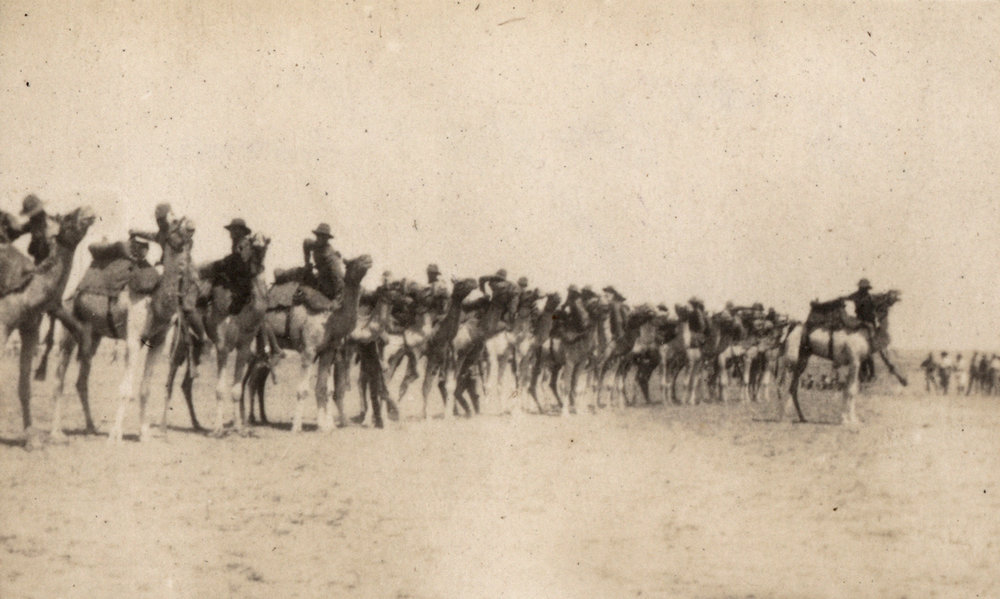 Photo from page 12 of album WWI Photograph Album - New Zealand, Egypt, Sinai &amp; Palestine.