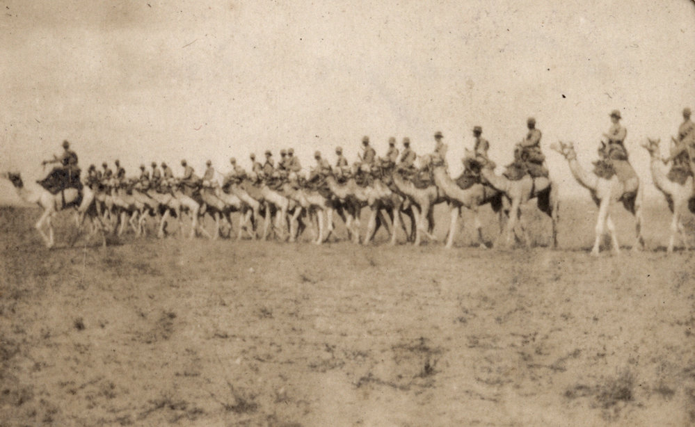 Photo from page 12 of album WWI Photograph Album - New Zealand, Egypt, Sinai &amp; Palestine.