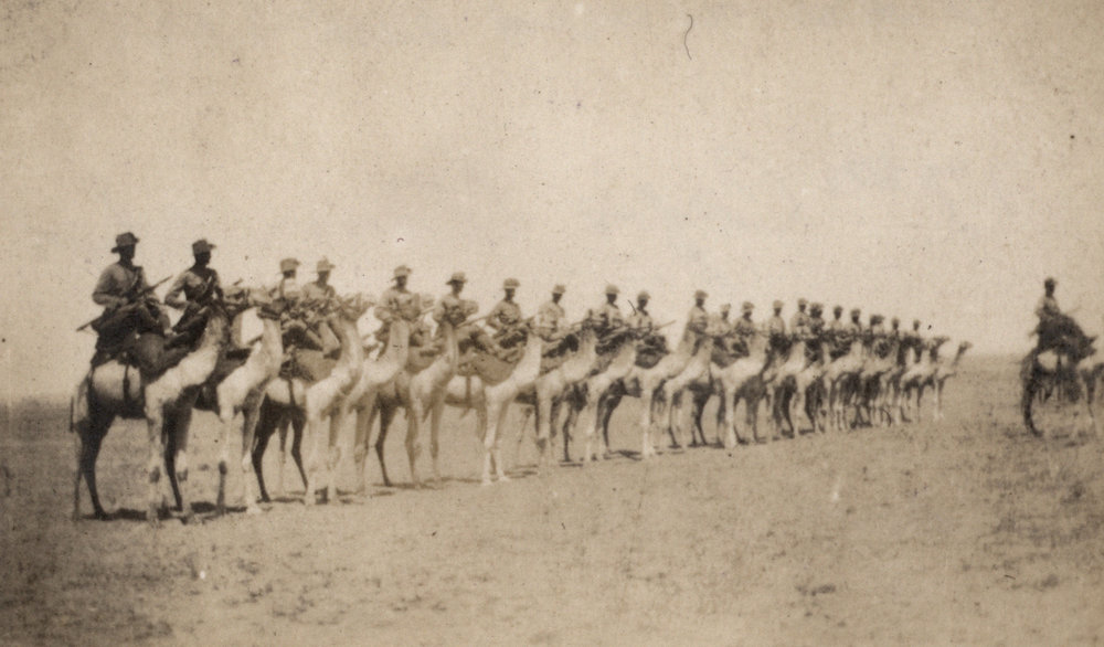Photo from page 12 of album WWI Photograph Album - New Zealand, Egypt, Sinai &amp; Palestine.