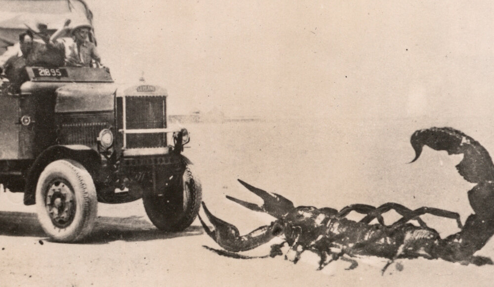 Photo from page 15 of album WWII Photograph Album - Egypt, Crete &amp; North Africa