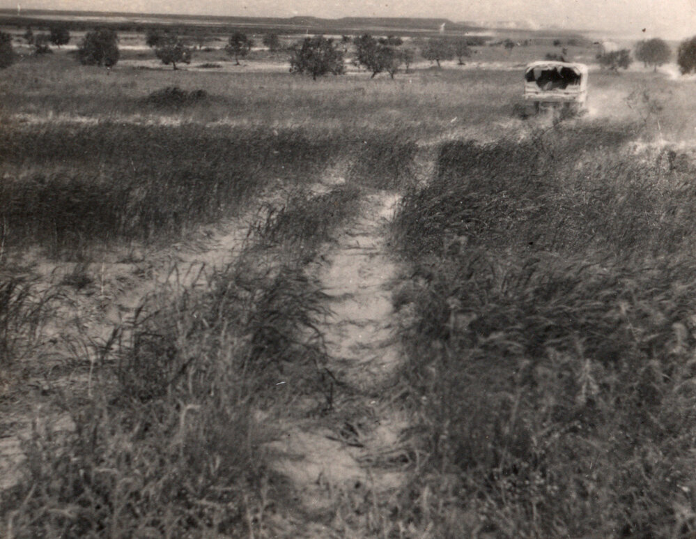 Photo from page 23 of album WWII Photograph Album - Egypt, Crete &amp; North Africa