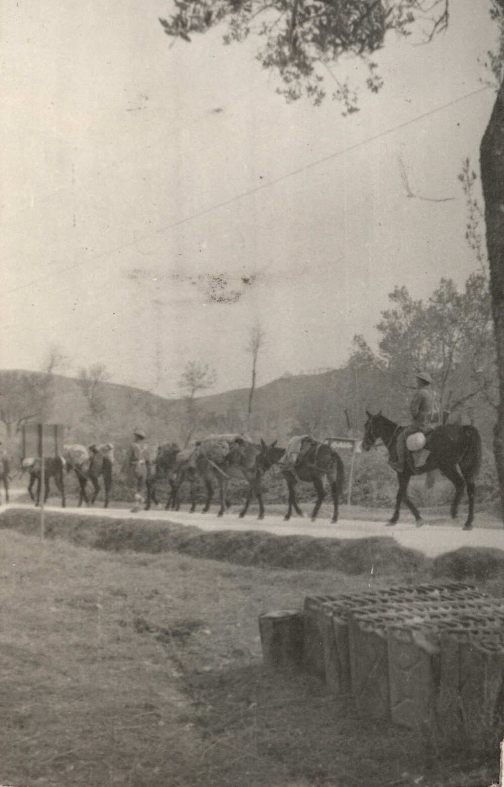 Photo from page 07 of album Photograph Album: 28 Maori Battalion - WWII
