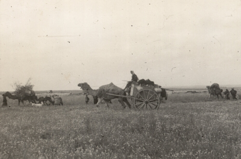 Photo from page 03 of album Photograph Album: Charles Bennett - WWII