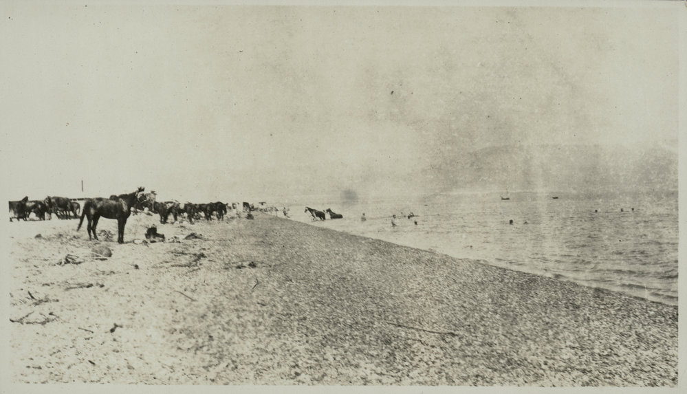 WWI Photograph Albums [loose photo]