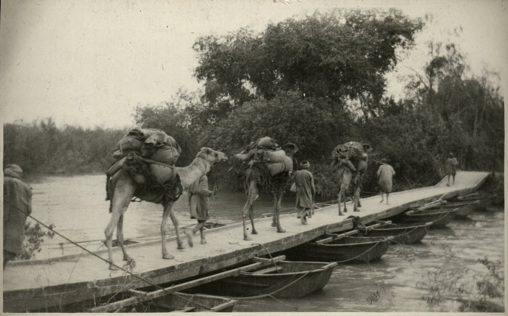WWI Photograph Albums [loose photo]