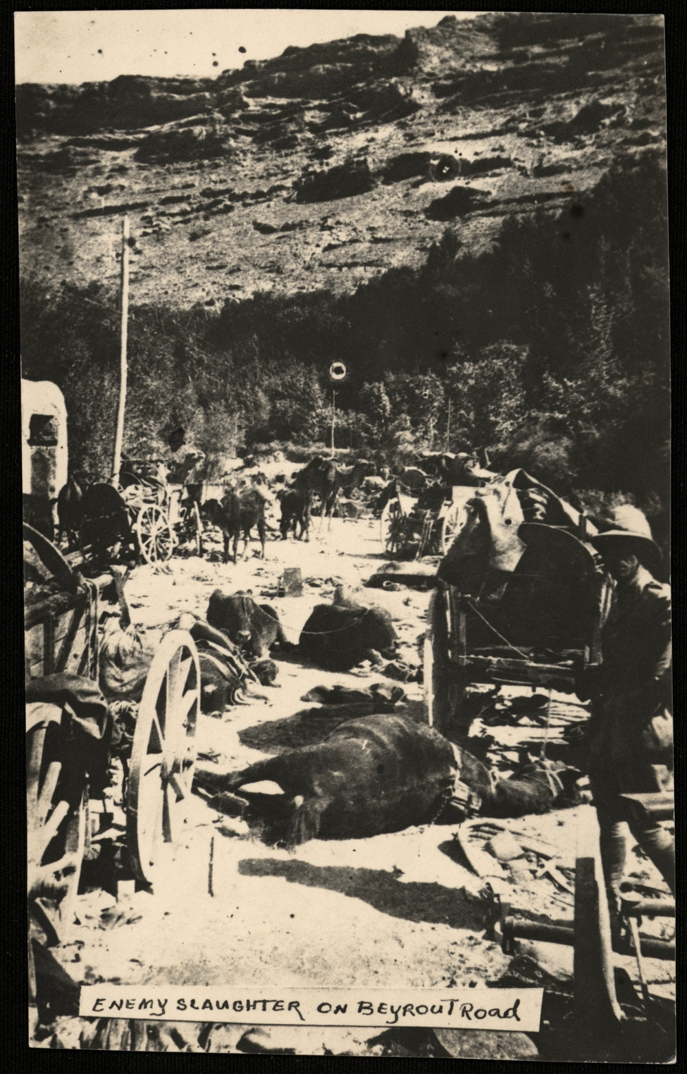 WWI Photograph Albums - Gallipoli &amp; Sinai &amp; Palestine. [loose photo]