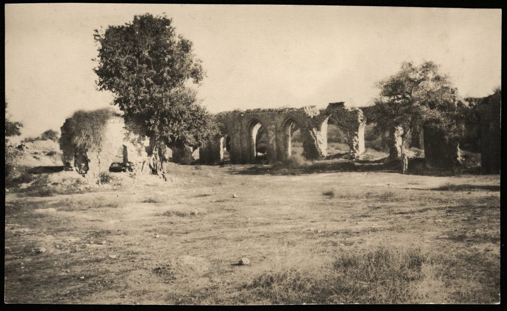 WWI Photograph Albums - Gallipoli &amp; Sinai &amp; Palestine. [loose photo]