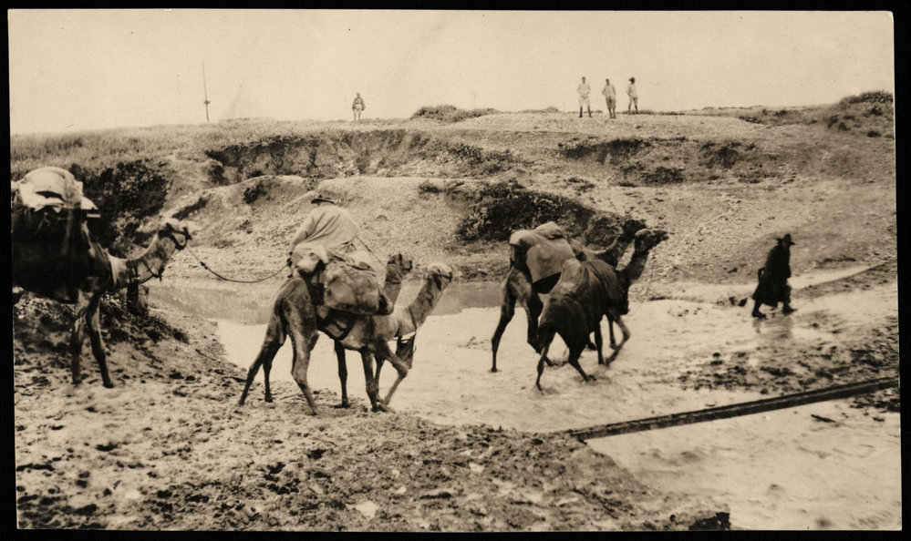 WWI Photograph Albums - Gallipoli &amp; Sinai &amp; Palestine. [loose photo]