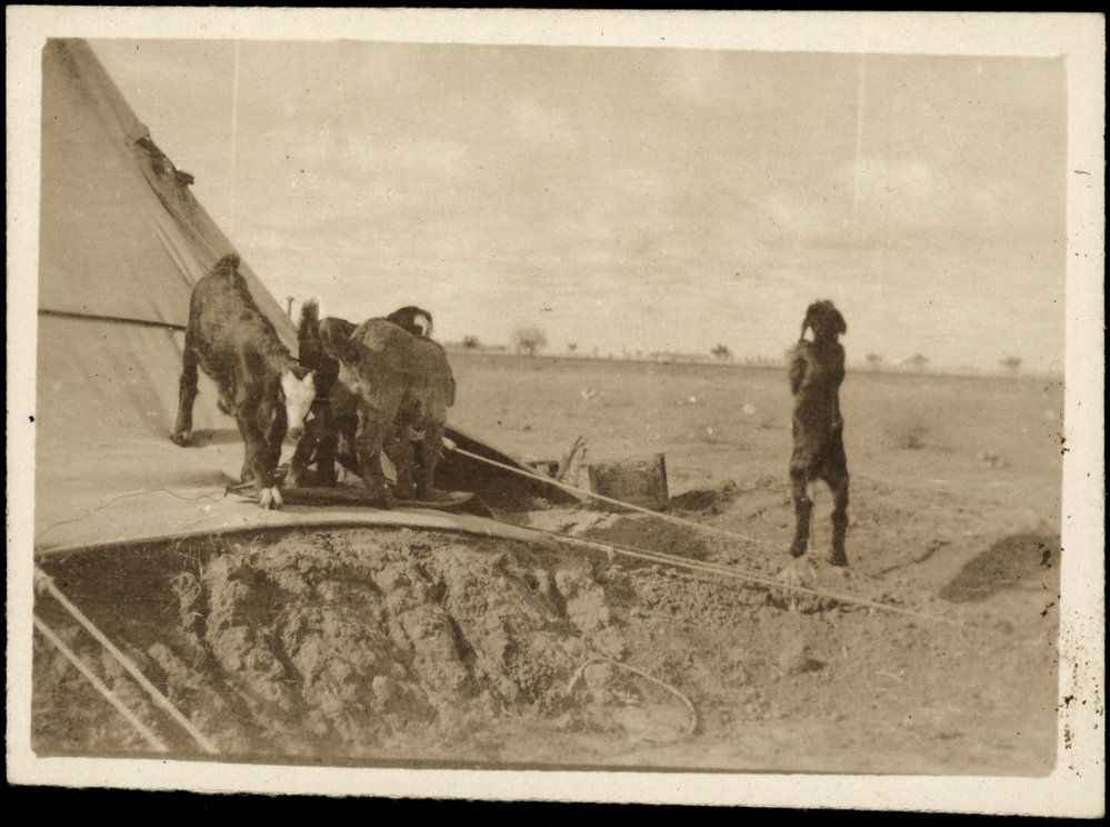 WWI Photograph Albums - Gallipoli &amp; Sinai &amp; Palestine. [loose photo]