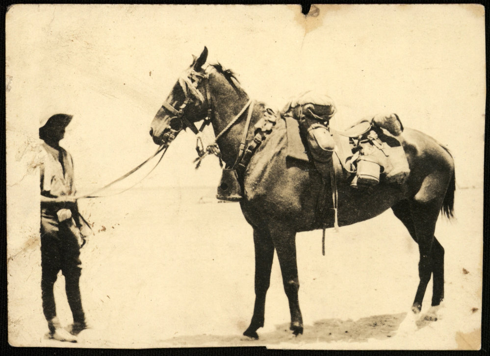 WWI Photograph Albums - Gallipoli &amp; Sinai &amp; Palestine. [loose photo]