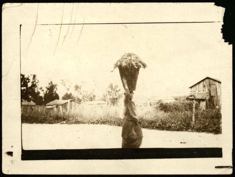 WWI Photograph Albums - Gallipoli &amp; Sinai &amp; Palestine. [loose photo]