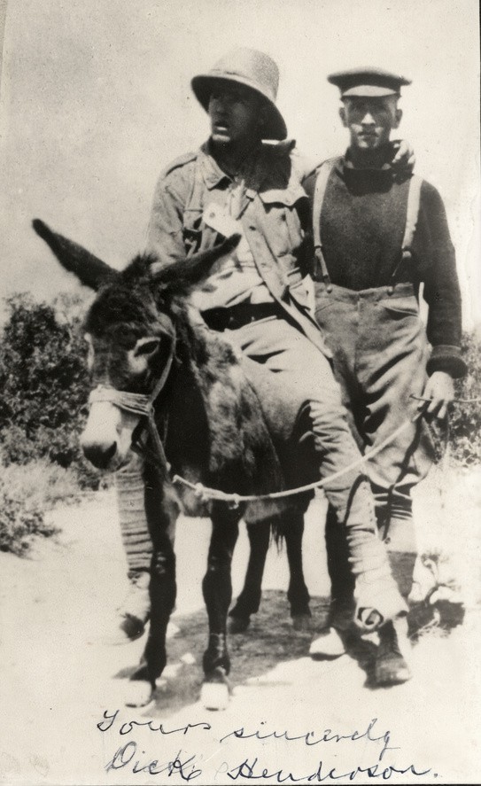 Private Richard Alexander Henderson, Military Medal, 2nd Field Ambulance and his donkey Murphy.