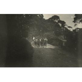 Photo from page 29 of album WWI Photograph Album  - New Zealand and Western Front