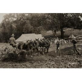 Photo from page 04 of album WWI Photograph Album  - Egypt & England