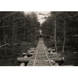 Photo from page 11 of album WWI Photograph Album  - Egypt & England