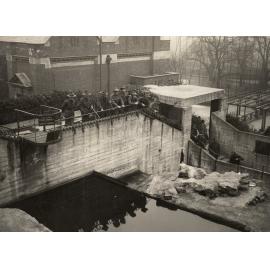 Photo from page 12 of album WWI Photograph Album  - Egypt & England