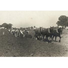 Photo from page 41 of album WWI Photograph Album  - Egypt & England