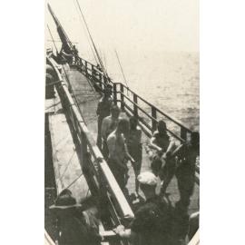 Photo from page 19 of album WWI Photograph Album - Mounted Rifles, Mudros, Egypt