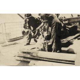 Photo from page 03 of album WWI Photograph Album  - Western Front