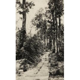 Photo from page 10 of album WWI Photograph Album  - Western Front