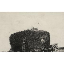 Photo from page 14 of album WWI Photograph Album  - Western Front