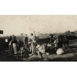 Photo from page 15 of album WWI Photograph Album  - Western Front