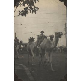 Photo from page 09 of album WWI Photograph Album  - Egypt, England & the Western Front