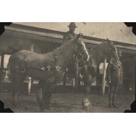 Photo from page 16 of album WWI Photograph Album  - Egypt, England & the Western Front