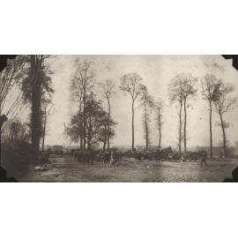 Photo from page 19 of album WWI Photograph Album  - Egypt, England & the Western Front