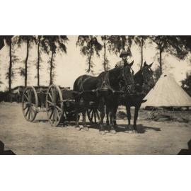 Photo from page 19 of album WWI Photograph Album  - Egypt, England & the Western Front