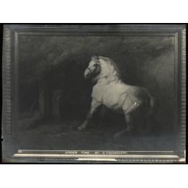 WWI Photograph Album 