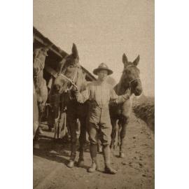 Photo from page 06 of album WWI Photograph Album  - Western Front