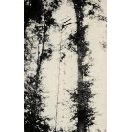 Photo from page 11 of album WWI Photograph Album  - Western Front