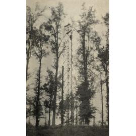 Photo from page 11 of album WWI Photograph Album  - Western Front