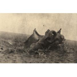 Photo from page 14 of album WWI Photograph Album  - Western Front
