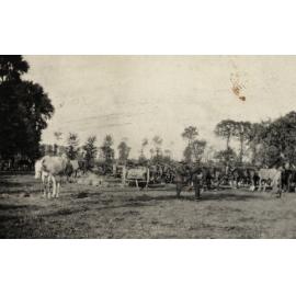 Photo from page 14 of album WWI Photograph Album  - Western Front