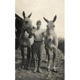 Photo from page 03 of album WWI Photograph Album  - Western Front