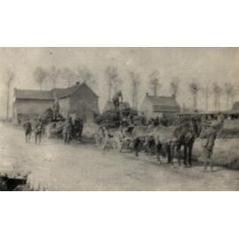 Photo from page 05 of album WWI Photograph Album  - Western Front