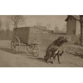 Photo from page 08 of album WWI Photograph Album  - Western Front