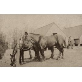 Photo from page 13 of album WWI Photograph Album  - Western Front
