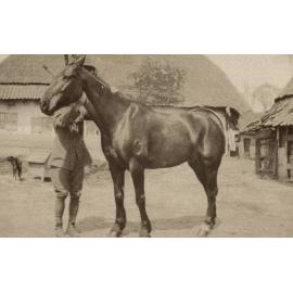 Photo from page 14 of album WWI Photograph Album  - Western Front