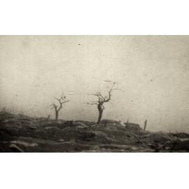 Photo from page 11 of album WWI Photograph Album  - Western Front