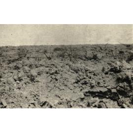 Photo from page 02 of album WWI Photograph Album  - Western Front