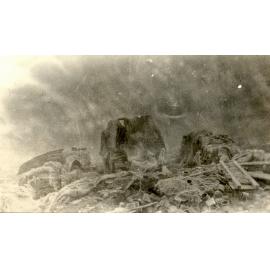 Photo from page 08 of album WWI Photograph Album  - Western Front