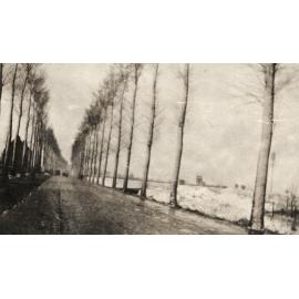 Photo from page 11 of album WWI Photograph Album  - Western Front