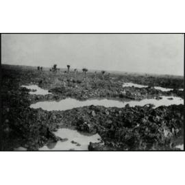 WWI Photograph Album 