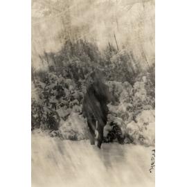 Photo from page 41 of album WWI Photograph Album  - England