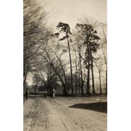 Photo from page 55 of album WWI Photograph Album  - England